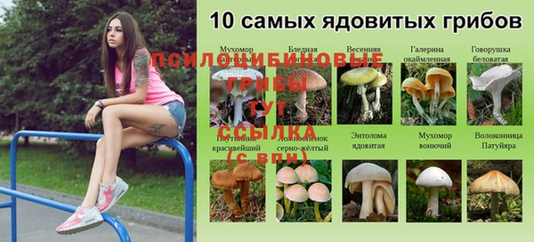 стафф Балабаново
