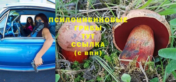 стафф Балабаново