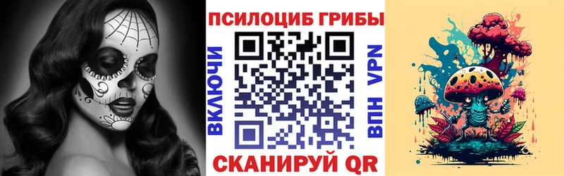 блэк спрут как войти  Зубцов  Галлюциногенные грибы Psilocybe 
